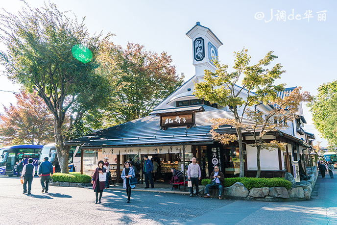 【日本】7天6晚:逛古街,賞名園,嘗海鮮,泡溫泉,去日本中部地區就夠了!