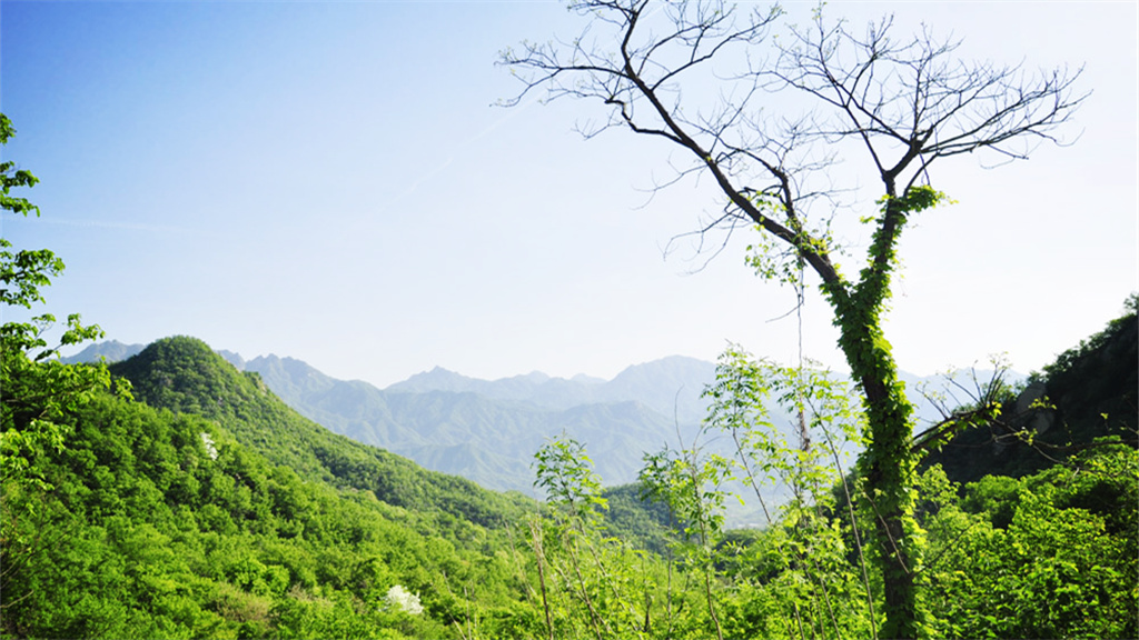 天龙池景区