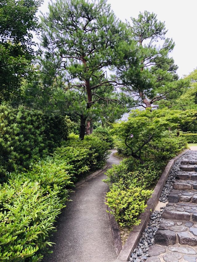 名古屋中村公园游玩攻略简介 名古屋中村公园门票 地址 图片 开放时间 照片 门票价格 携程攻略