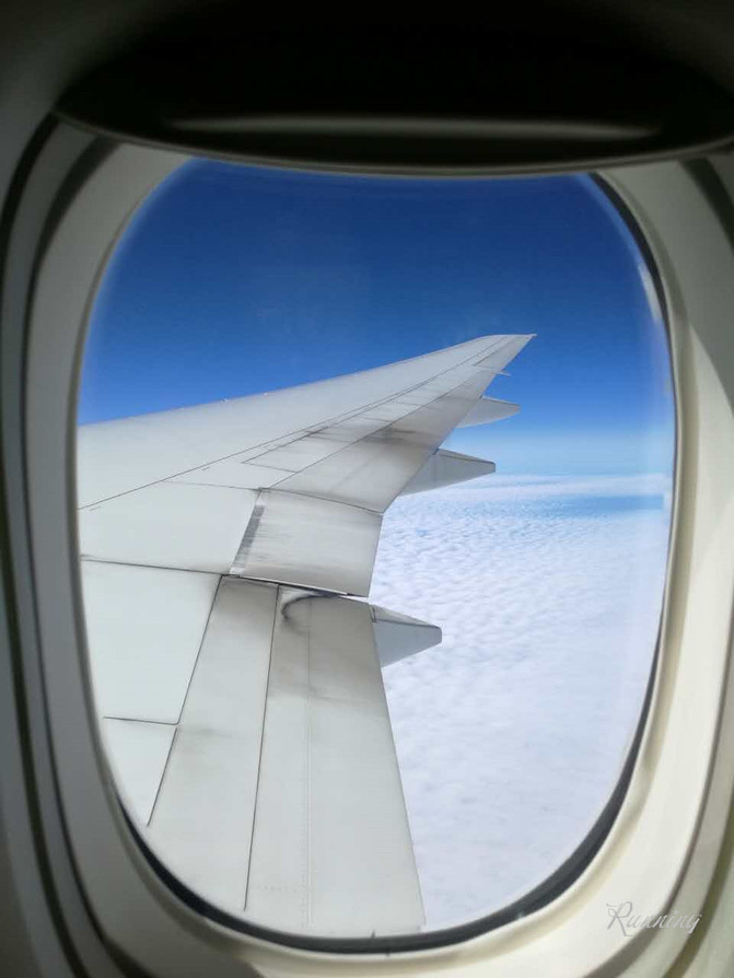 驾--21天自由行(七)黄石熊世界-太浩湖-旧金山-