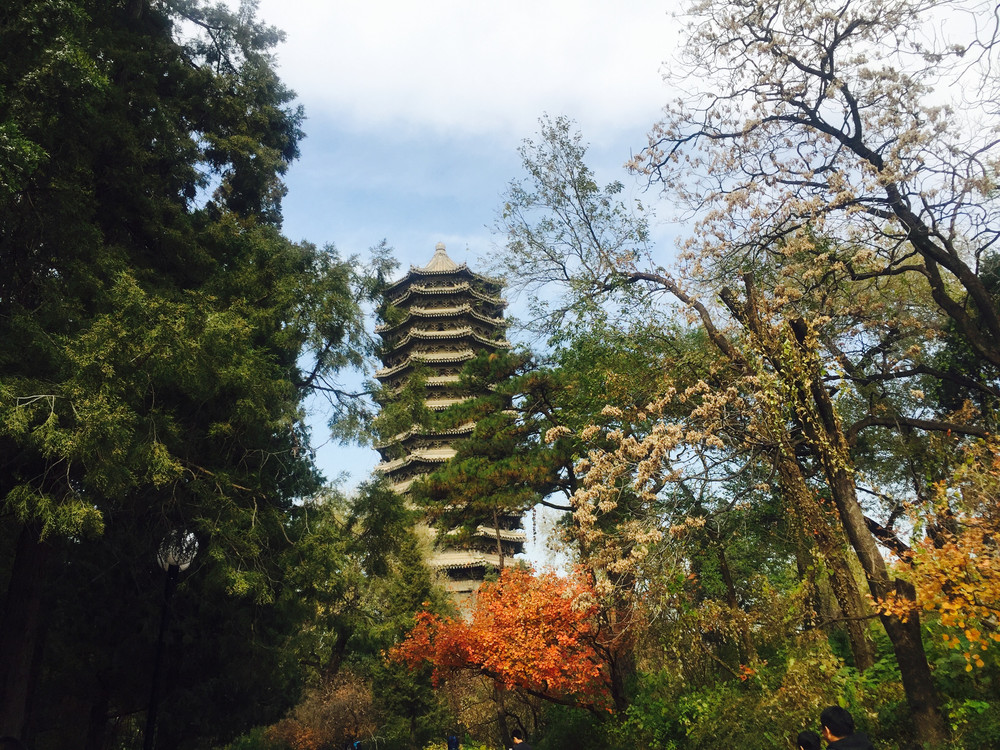 北京大学半日游深秋的童话世界- 北京游记攻略