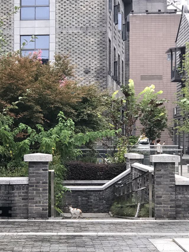 北山路95号别墅