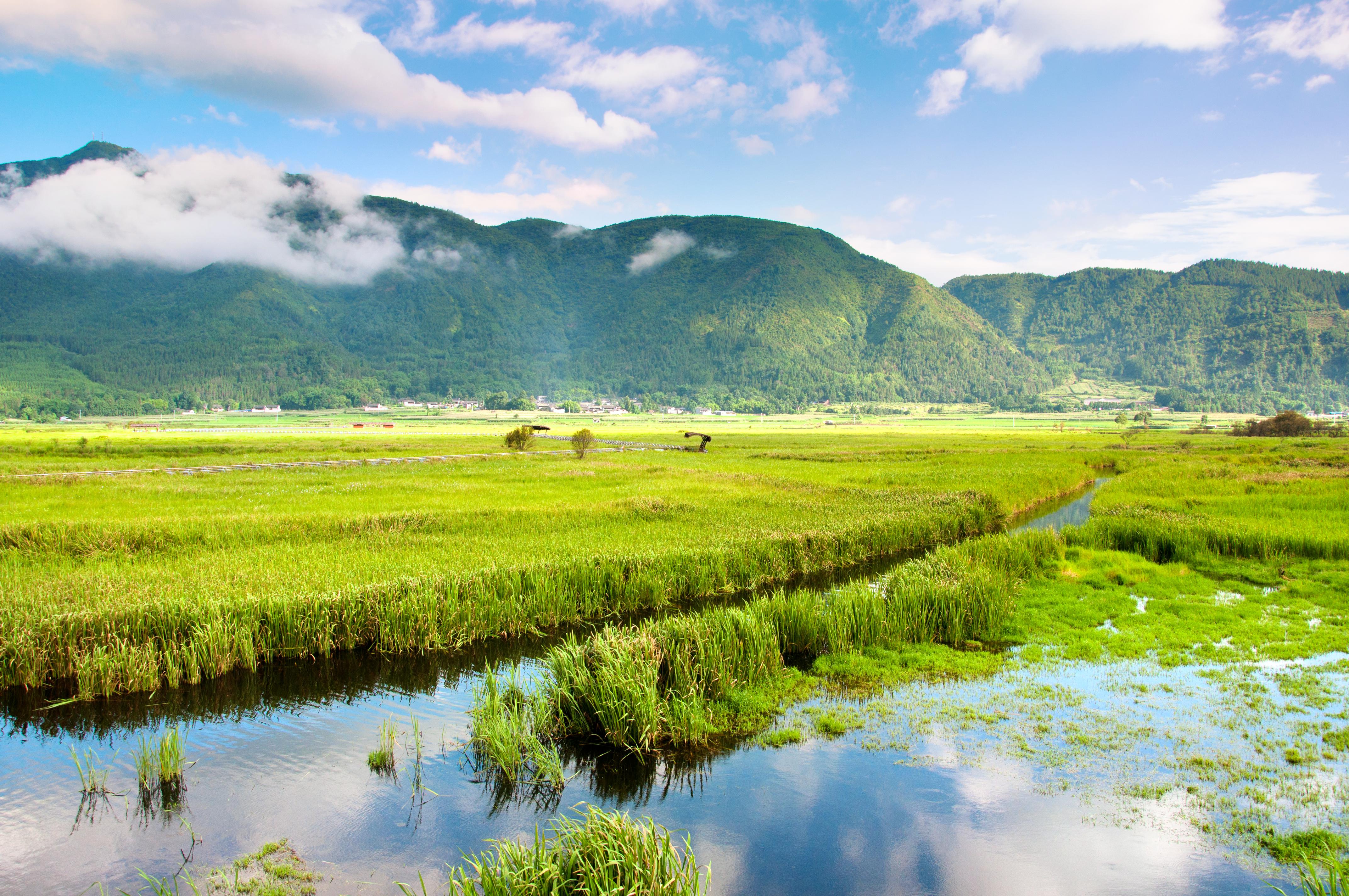 北海湿地