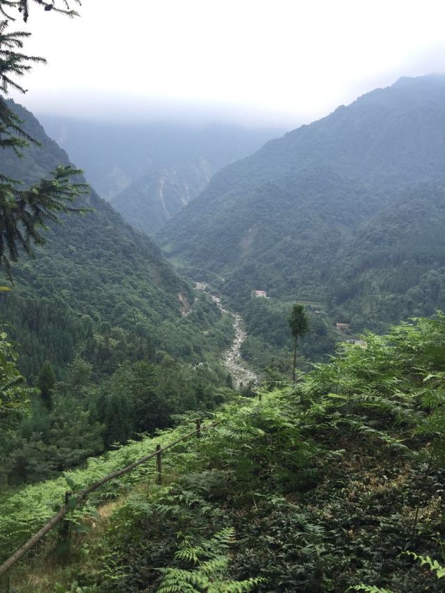 彭州中坝村国有林场