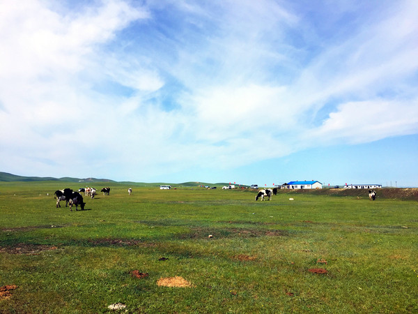 五彩斑斕地——內蒙古呼倫貝爾大草原