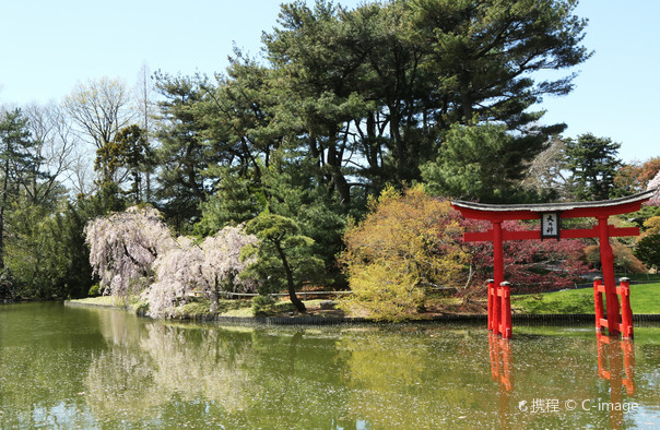 Brooklyn Botanic Garden