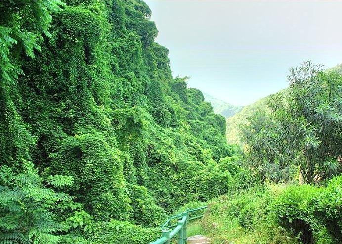 凤鸣山