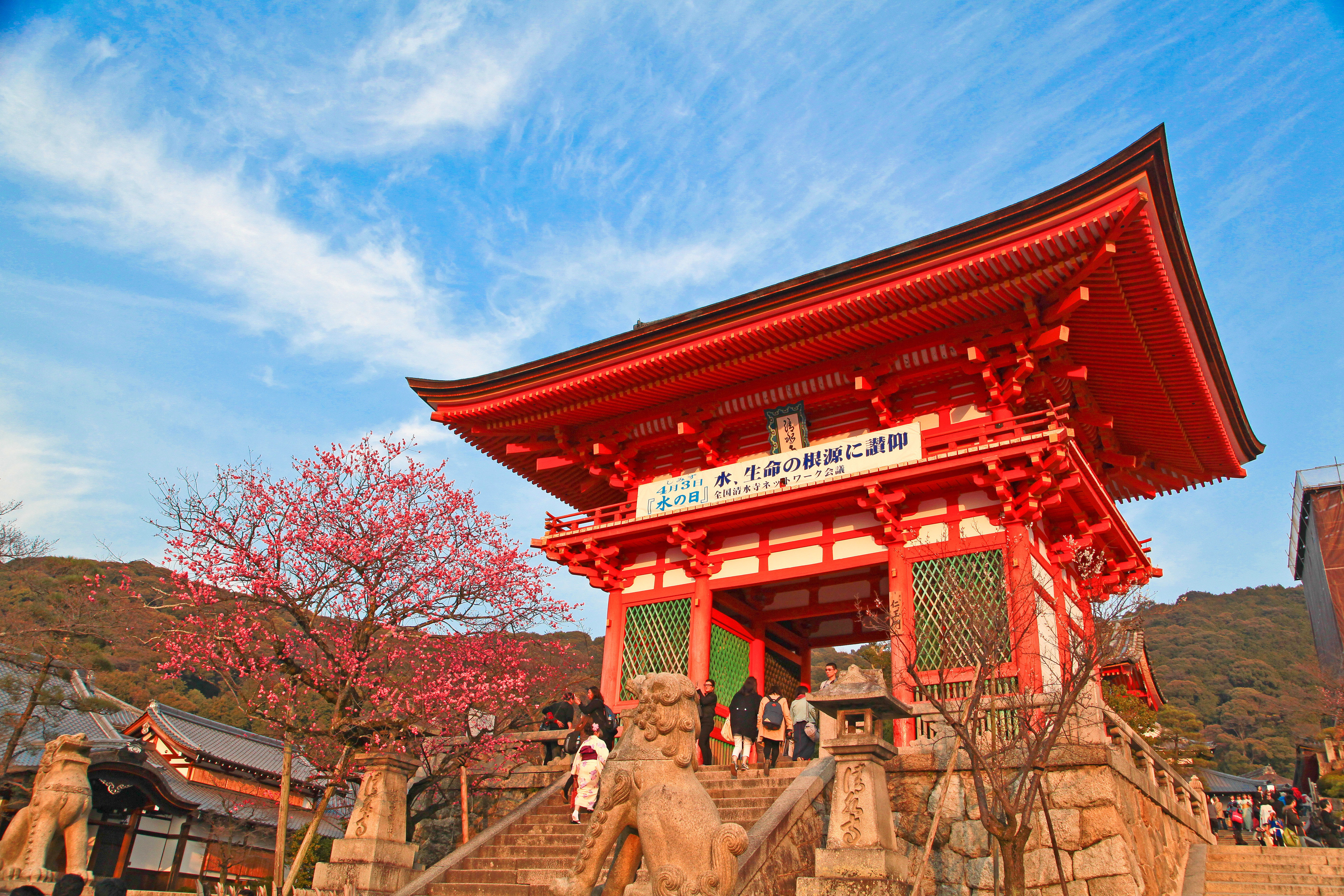 京都の人気観光スポット トップ 10 - 地元の人おすすめの京都で必ず訪れたい見どころガイド - Go Guides