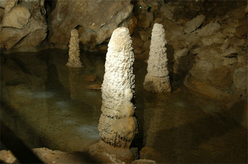 【鲁晋九日自驾】傧尔笾豆,饮酒之饫,兄弟既具,和乐且孺