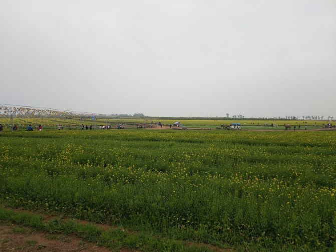 端午节东戴河海边穿什么衣服,能下水吗?