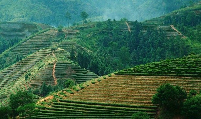 苏溪塘登森林湿地公园