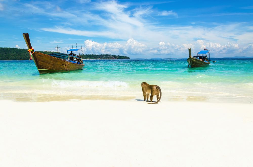 泰国普吉岛 猴子海滩 Monkey Beach