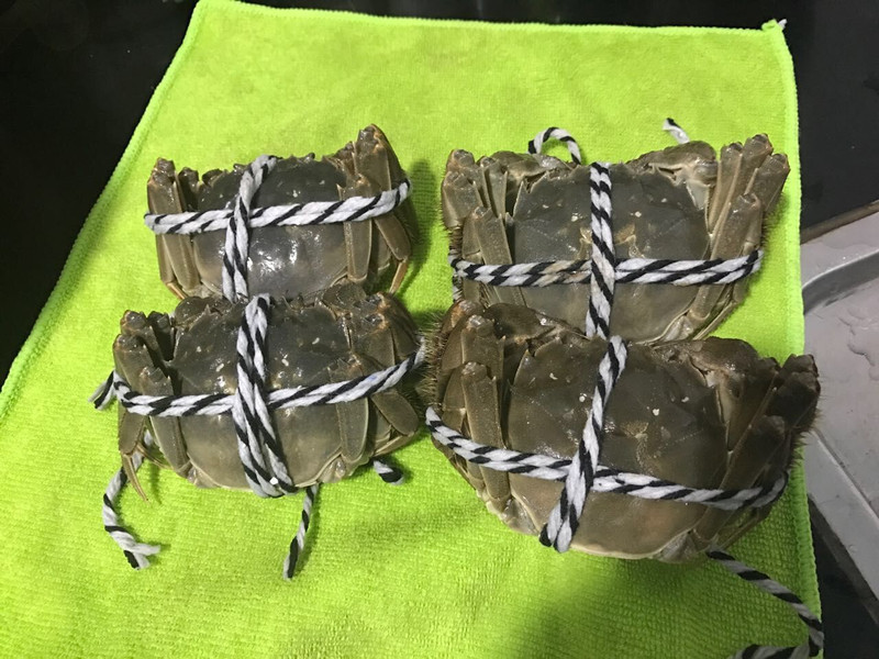 苏州阳澄湖吃蟹自驾旅游一日游攻略 - 阳澄湖游