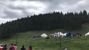 南山牧场