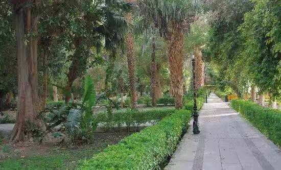 阿斯旺植物园区
