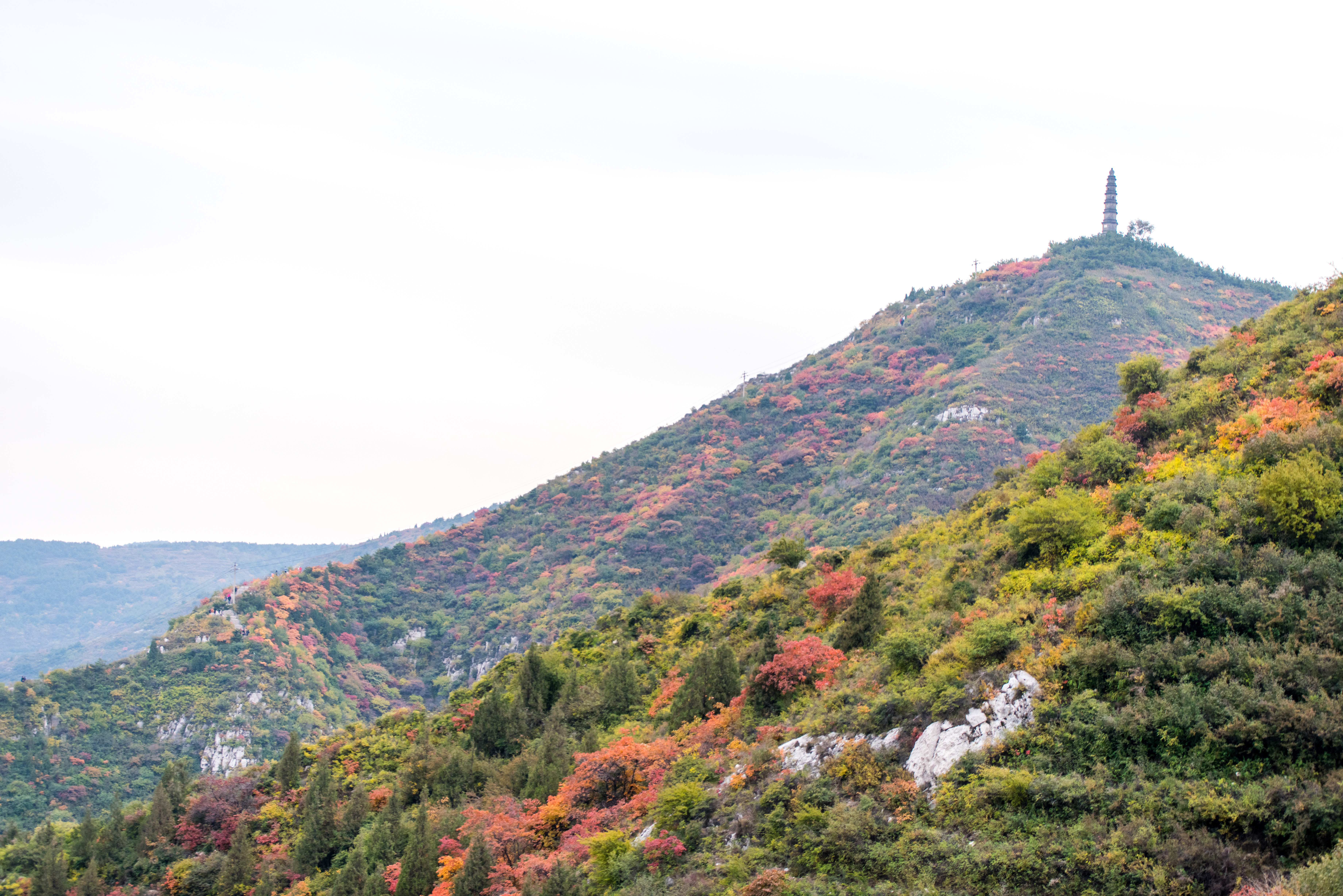 崛围山景区