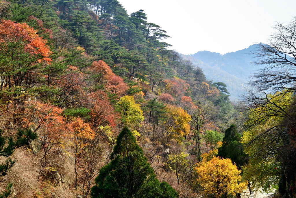 对松山