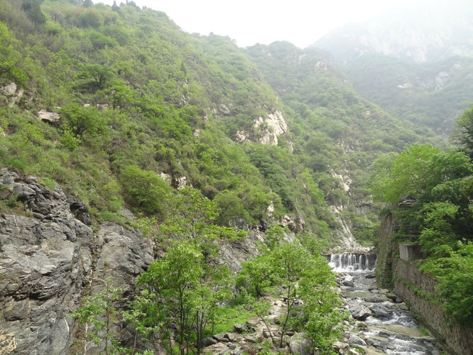 西北望长安,陌上无穷树