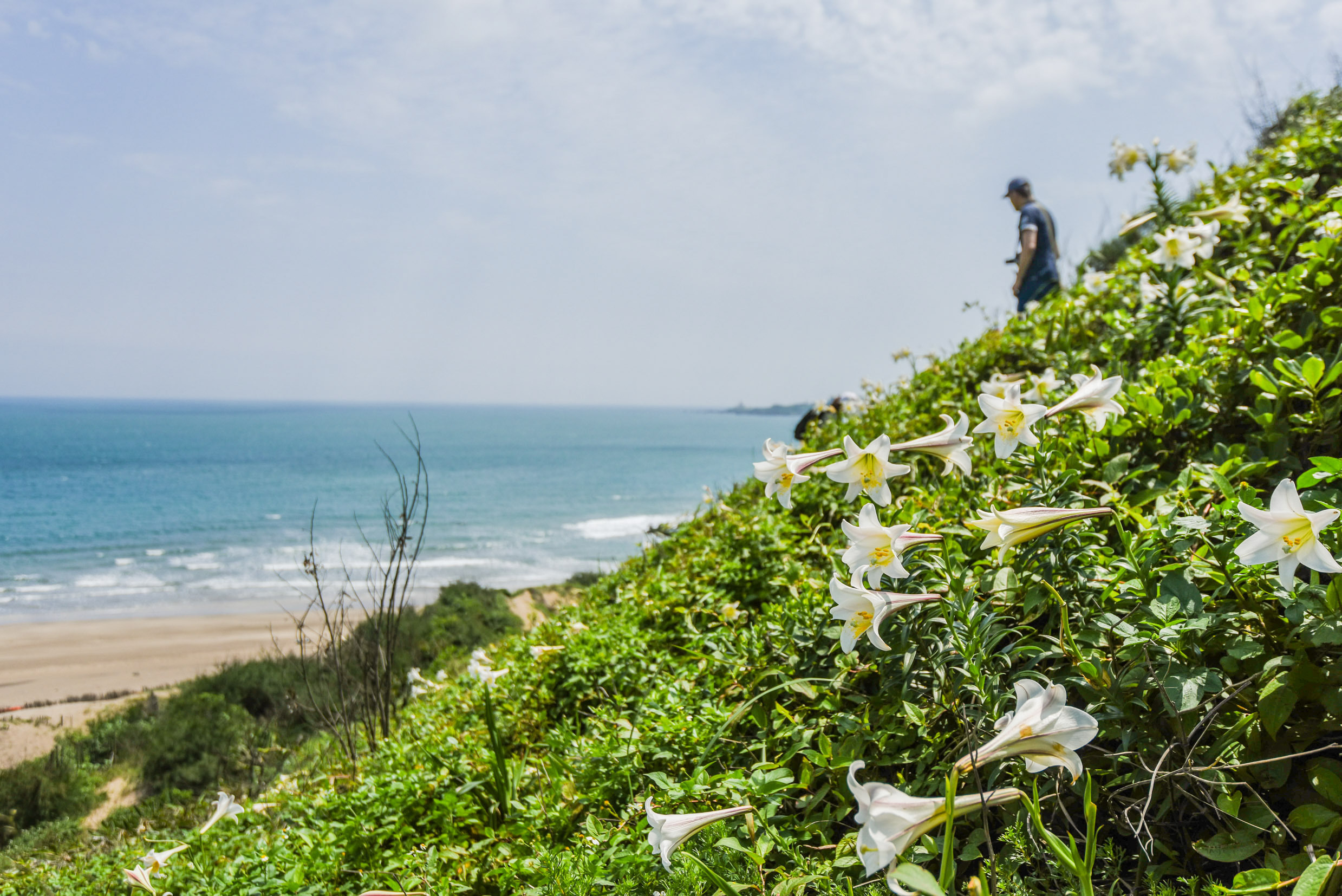 白沙湾