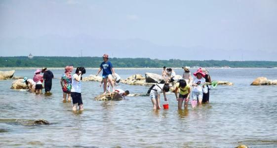 宁海湾赶海俱乐部