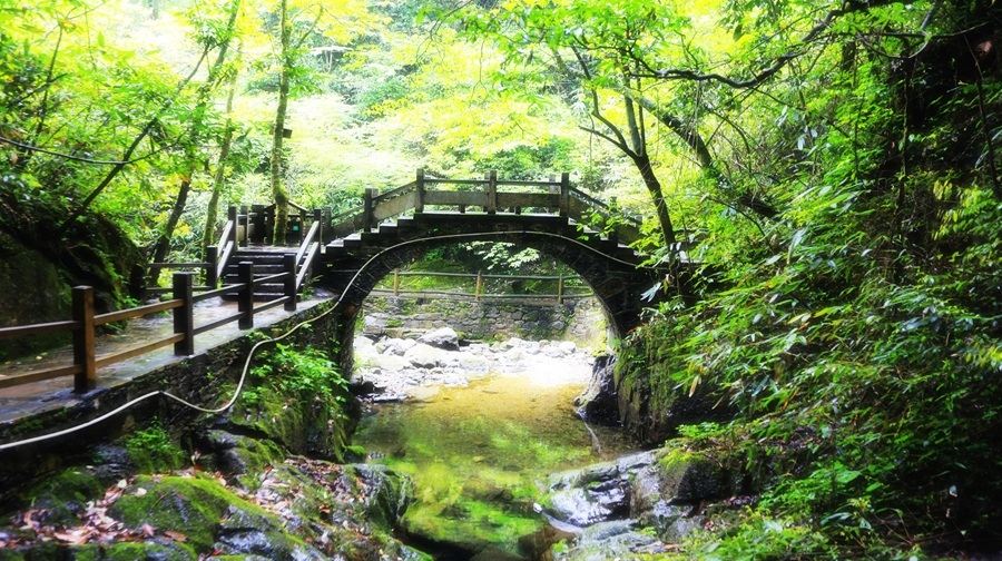 铜锣坝原始森林游玩攻略,