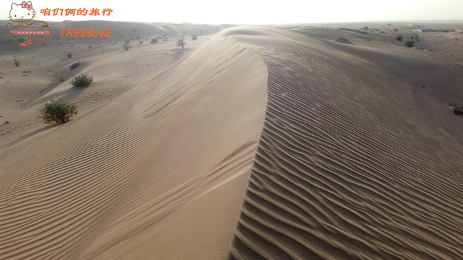 咱们俩的旅行--沙漠中的梦幻奇迹(阿联酋5日行