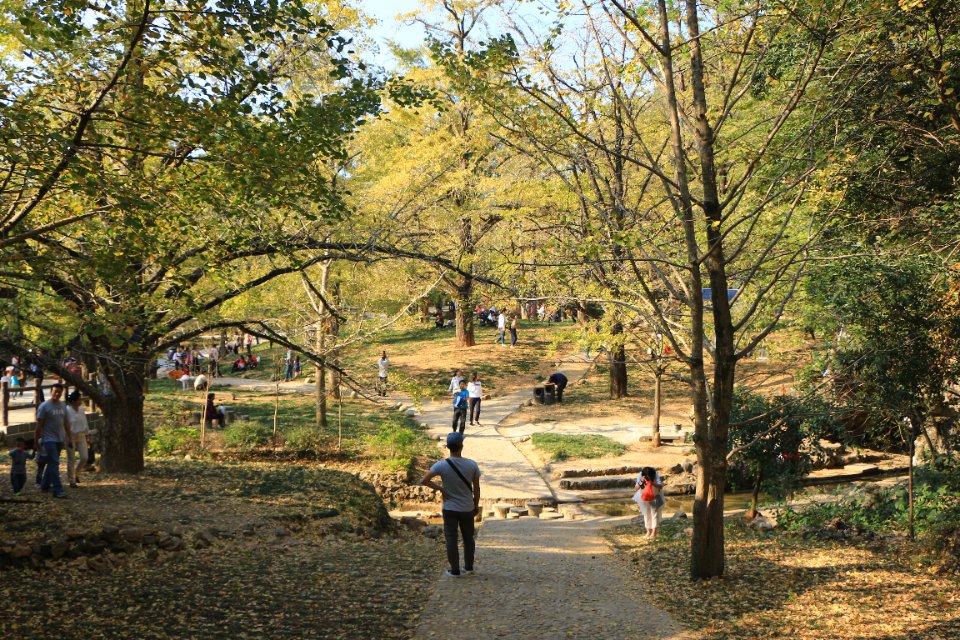 大桐木湾村