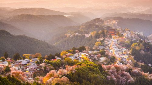 吉野2日自由行方案 近铁电车周游券 汤元宝之家 午餐1次 京都出发 线路推荐 携程玩乐