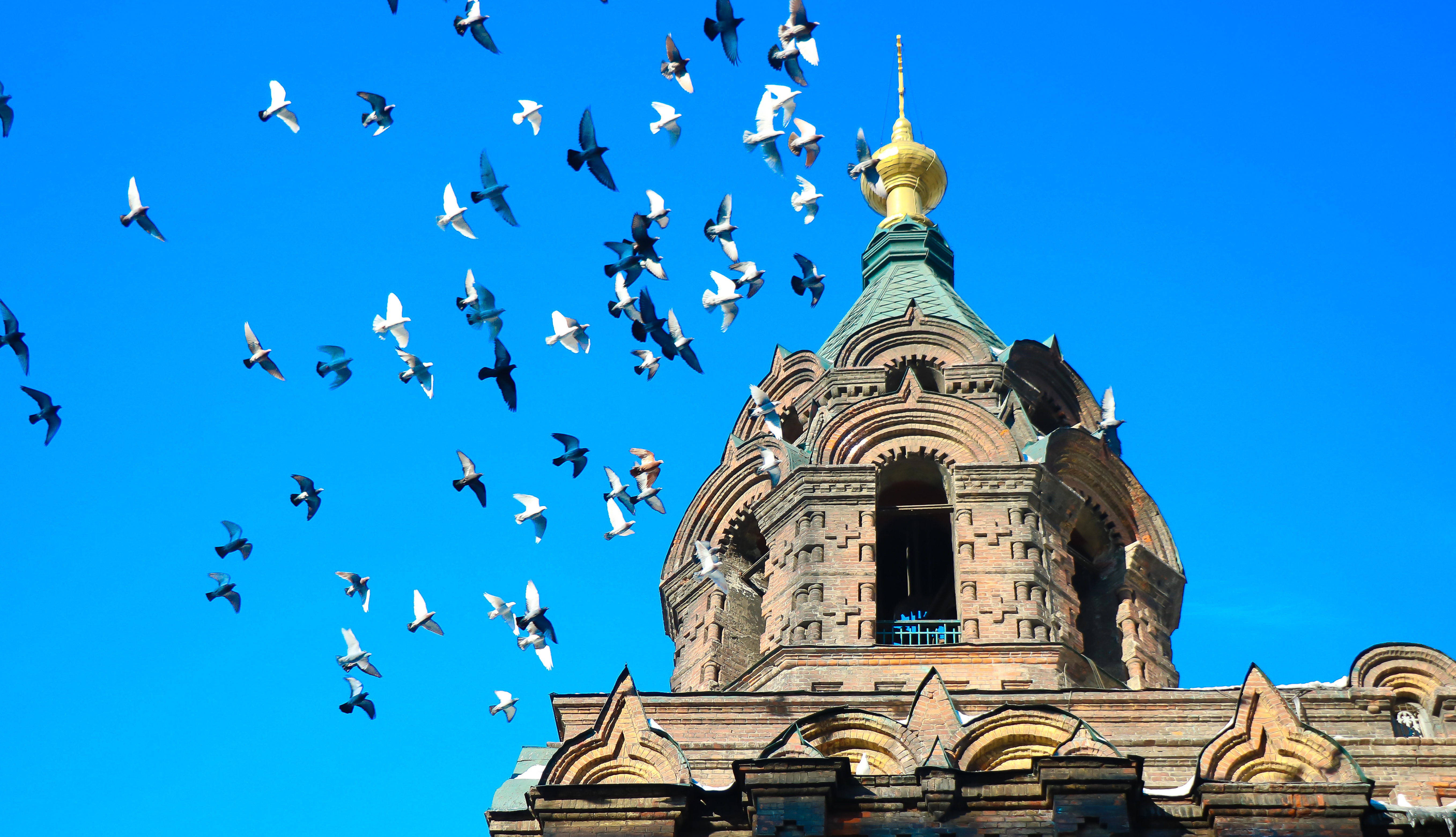 十月六日城ski egypt攻略,十月六日城ski egypt门票/游玩攻略/地址