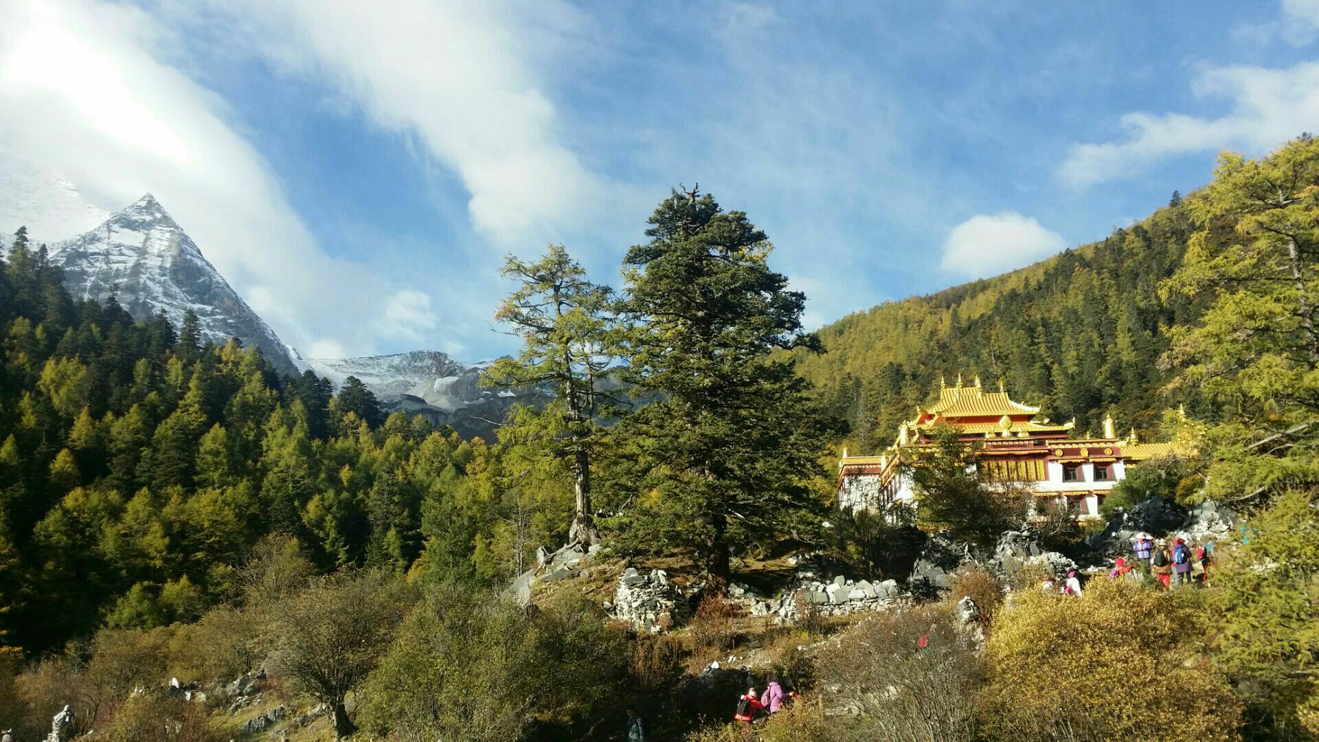 佛缘台