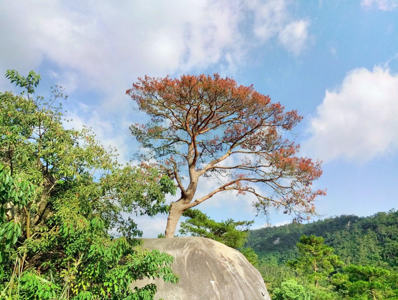 小黄山景区