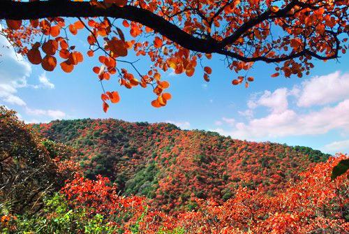 甘山国家森林公园