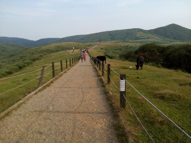 台北擎天岗草原游玩攻略简介 台北擎天岗草原门票 地址 图片 开放时间 照片 门票价格 携程攻略