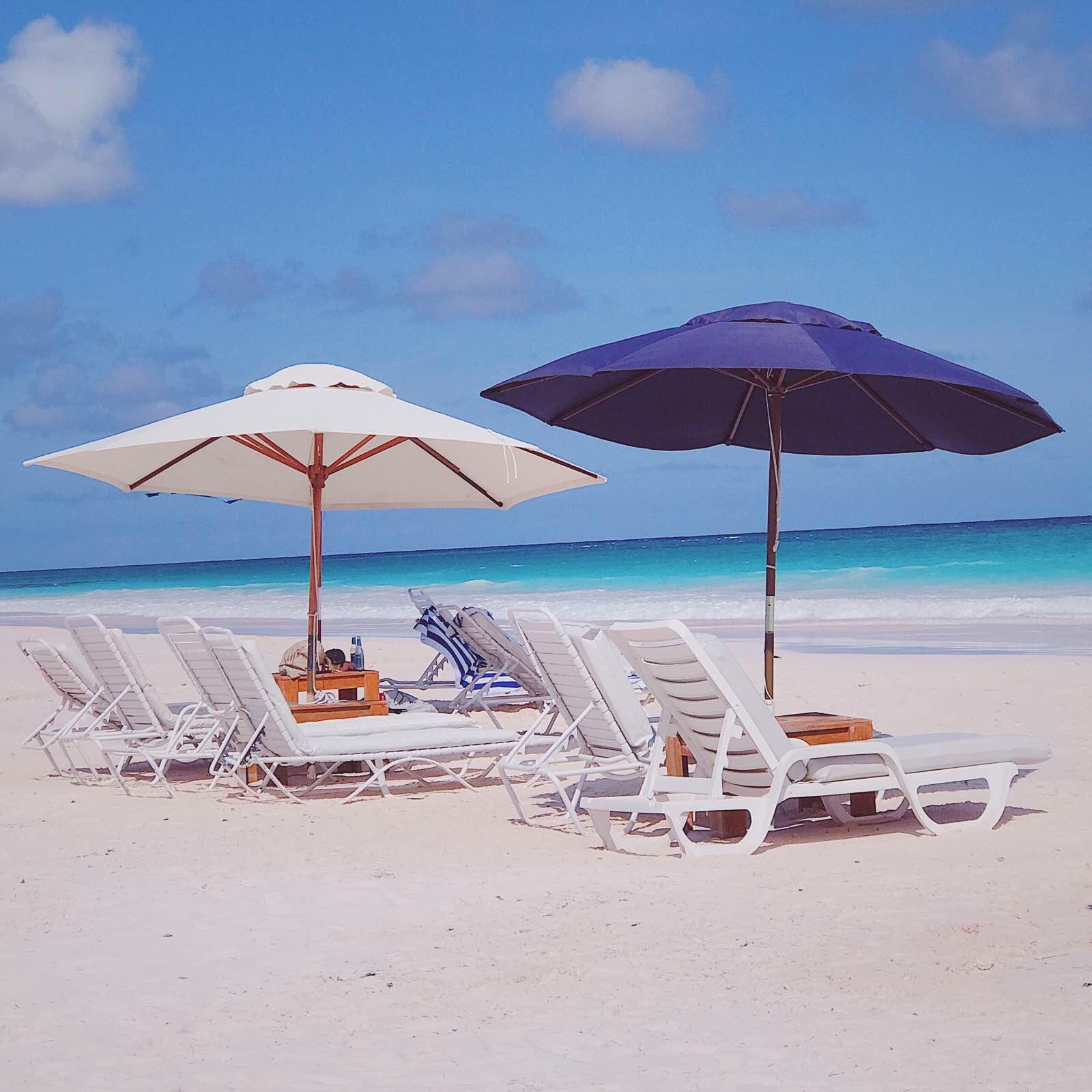 告诉你为什么我不坐邮轮去巴哈马!