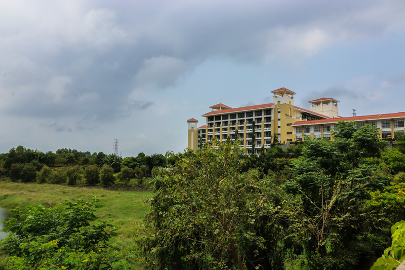 广东湛江丨南国鼓城茂德公,雷州半岛的味道。