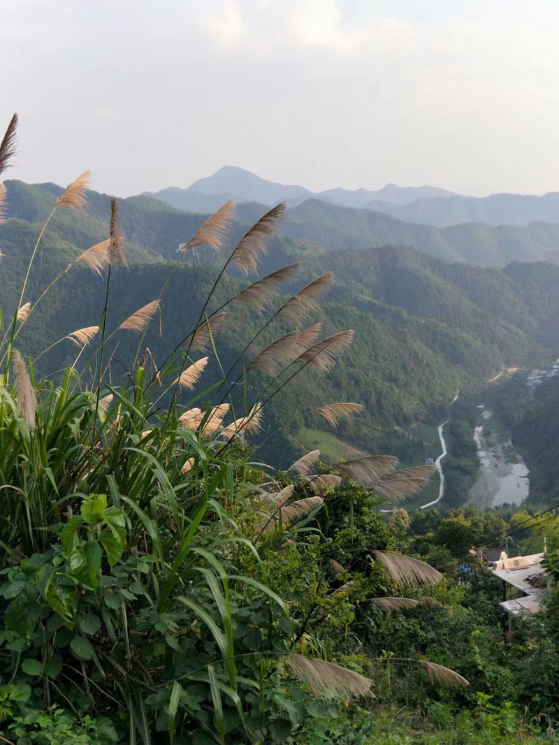 歙县人口少_歙县地图