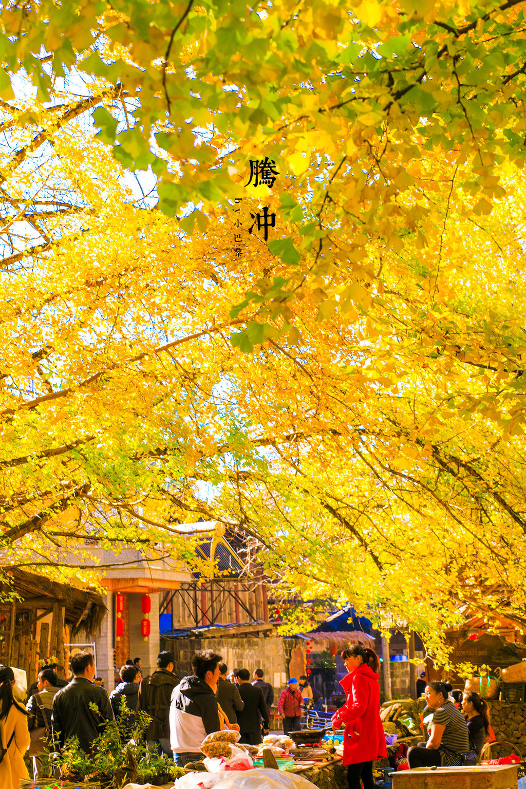 ڳ塿,Ȫ,حȥĵط,һᵽ