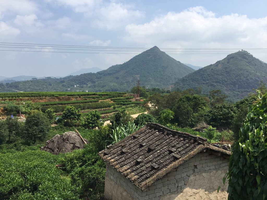 好山好水凤凰山,好茶好酒乌岽村!