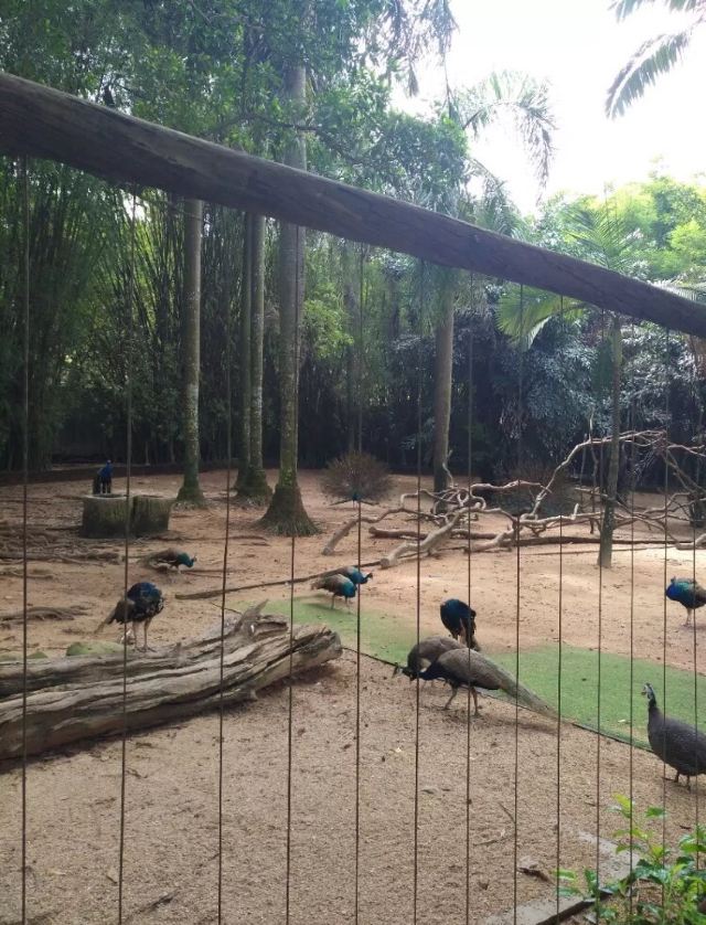 淮南动物园攻略,淮南动物园门票/游玩攻略/地址/图片/门票价格【携程