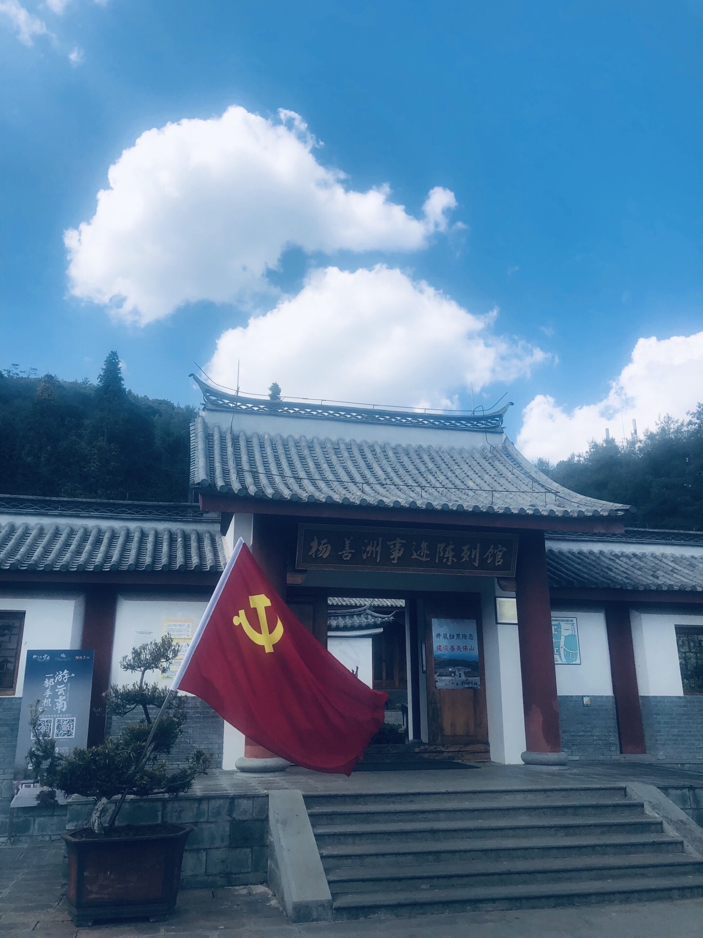 善洲林场