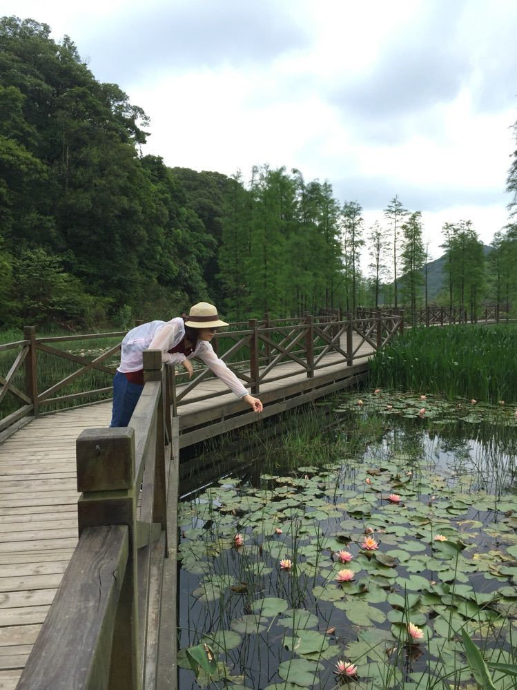 從化碧水灣溫泉度假村,石門森林公園自駕遊