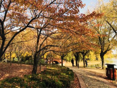 【攜程攻略】青島城陽世紀公園團購,城陽世紀公園周邊住宿/美食/餐館