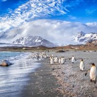 南极洲+阿根廷21日跟团游