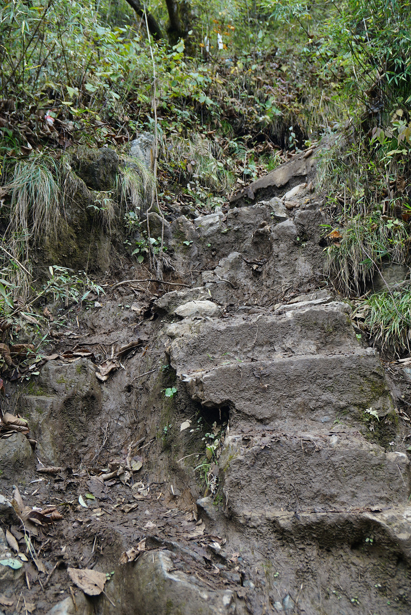 彭州九峰山登顶需要多久 100o1900000176jinD623_R_800_10000_Q90.jpg?proc=autoorient