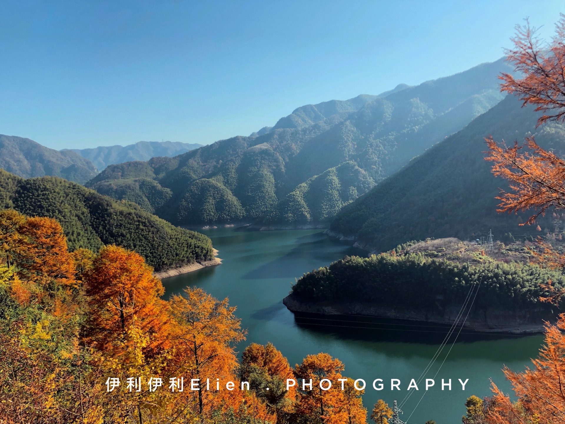 茅镬村古树林