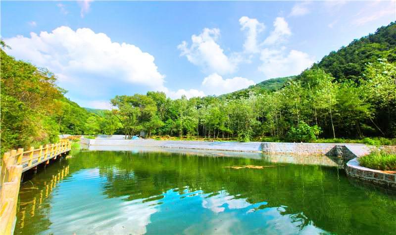 燕子山原始生态旅游风景区