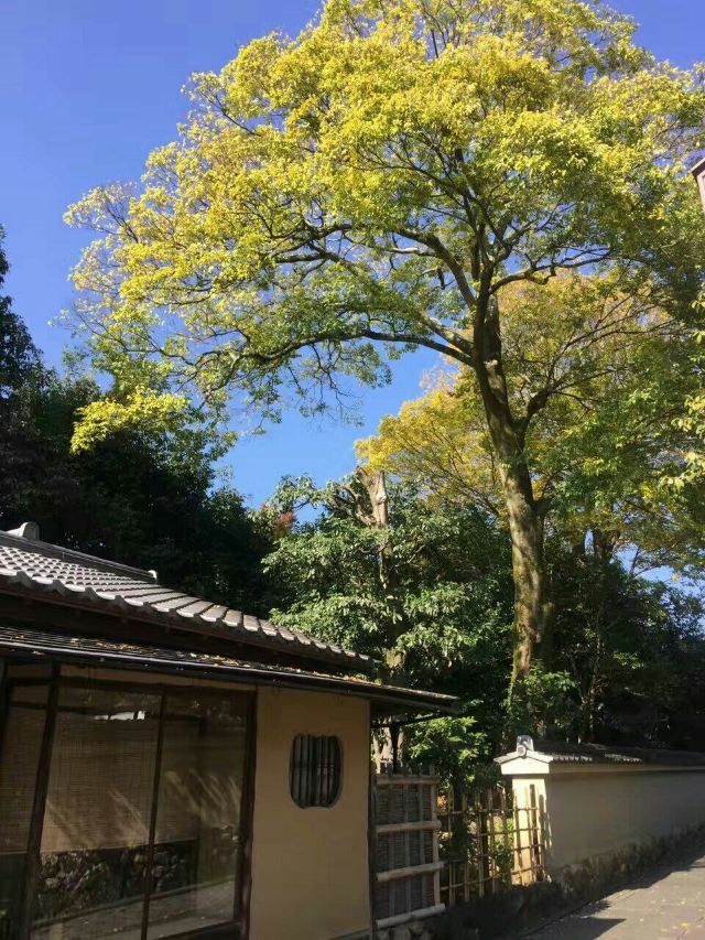 灵山护国神社