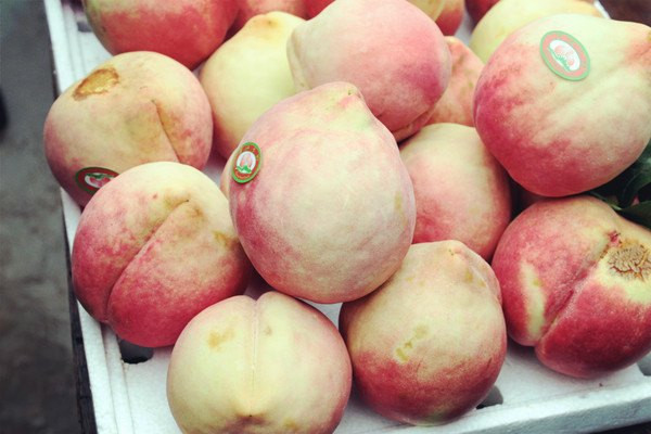 带走的是回忆,带不走的是丽江美景(丽江攻略)