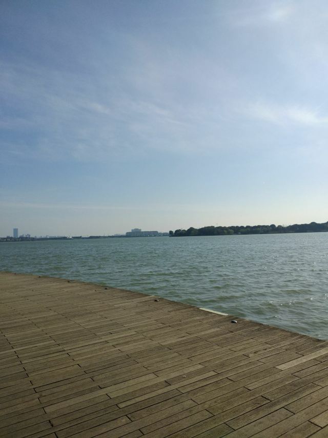 台北大佳河滨公园攻略,台北大佳河滨公园门票/游玩攻略/地址/图片