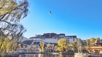 微信图片_20190415113012